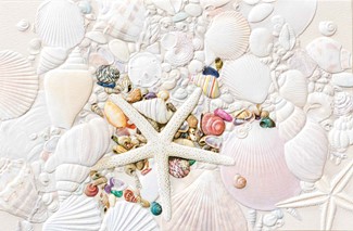 Ocean Treasure | Coastal friendship greeting cards