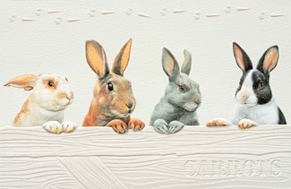 Rabbit Row | Embossed bunny greeting cards