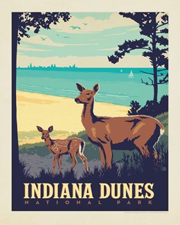 Indiana Dunes 8" x10" Print | 8" x 10" Print