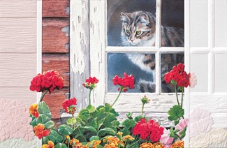 Kitty Lookout (TY) | Thank You greeting cards