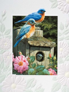 Garden Bluebirds | Boxed Notes