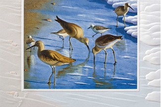 Sand Pipers (TY) | Thank You greeting cards