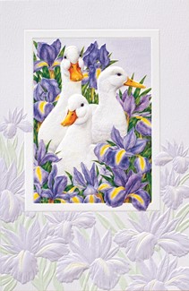Garden Ducks | Birthday greeting cards