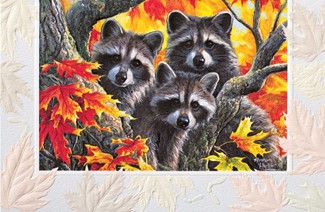 Three Amigos | Birthday greeting cards