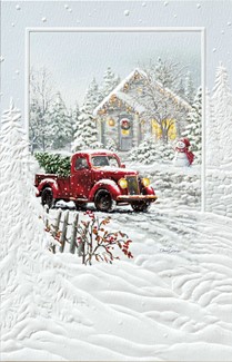 Special Christmas Delivery | Scenic  themed boxed Christmas cards