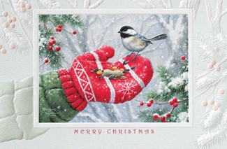 Winter Encounter | Bird themed boxed Christmas cards