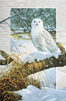 Snowy Owl | Wildlife themed boxed Christmas cards