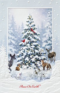 Woodland Christmas | Wildlife themed boxed Christmas cards