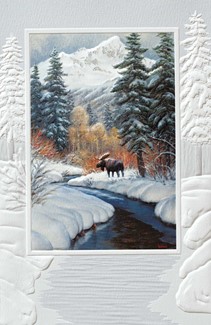 Winter Blanket | Wildlife themed boxed Christmas cards