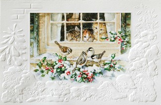 Christmas Kittens | Wildlife themed boxed Christmas cards