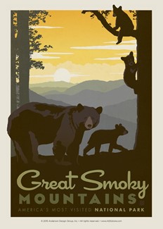 Great Smoky Mama Bears & Cubs | Postcard