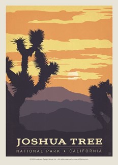 Joshua Tree | Postcard