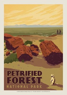 Petrified Forest | Postcard