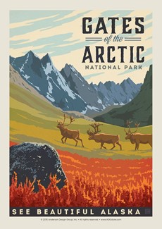 Gates of the Arctic | Postcard