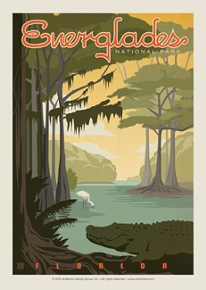 Everglades | Single Postcard