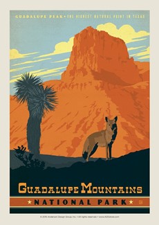 Guadalupe Mountains | Single Postcard