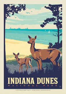 Indiana Dunes | Single Postcard
