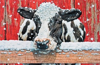 Ho Ho Holstein | Farm themed boxed Christmas cards