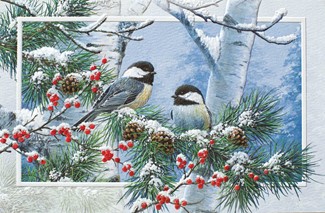Winter Friends | Bird themed boxed Christmas cards