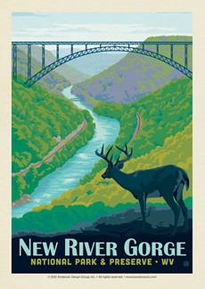 New River Gorge NP & Preserve (Single) | Single Postcard