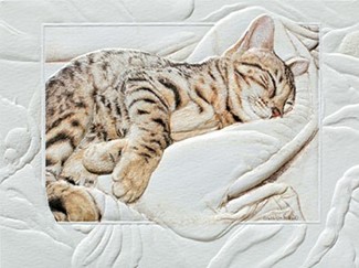 Bengal Baby | American made note cards