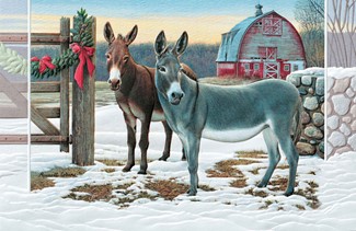 Delightful Donkeys | Boxed Christmas cards