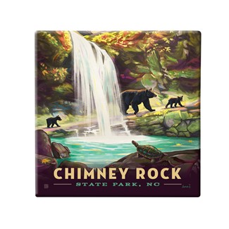 Chimney Rock State Park North Carolina Square Magnet | Metal Magnet