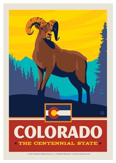 Colorado State Pride Ram Single Magnet | USA Made