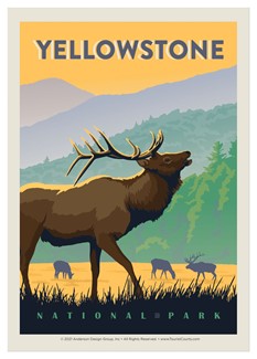 Yellowstone NP Bugling Elk Single Magnet | USA Made