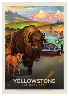 Yellowstone NP Bison Crossing Single Magnet | USA Made