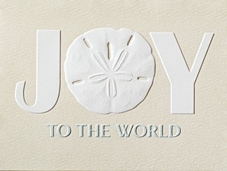 Sand Dollar Joy | Nautical boxed Christmas cards