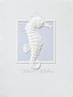 Little Seahorse | Embossed seashell greeting cards