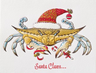 Santa Claws | Coastal themed boxed Christmas cards