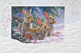 Bunny Hideout | Wildlife Boxed Christmas Cards