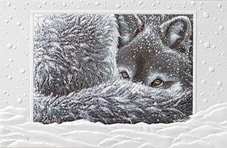 Winter Wolf | Wildlife themed boxed Christmas cards