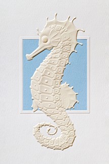 Seahorse Spree | Seashell themed Christmas cards