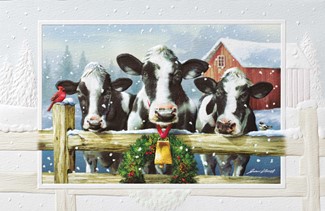 Holiday Holstein | Farm themed boxed Christmas cards