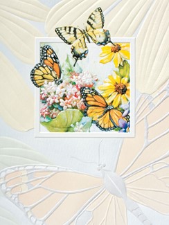 Butterfly Bliss | American made boxed notes
