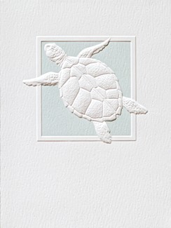 Sea Turtle Splash | Boxed Notes