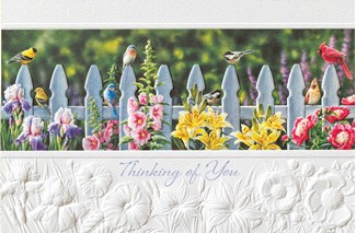 Songbird Meet Up (TOY) | Thinking of You greeting cards