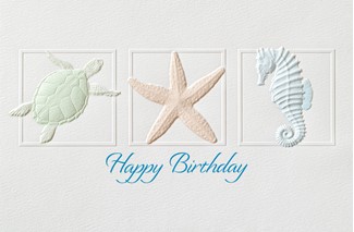 Birthday Trio | Coastal embossed greeting cards