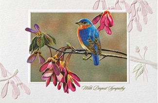 Bluebird in Maple (SYIN) | Floral inspirational greeting cards