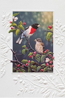 Apple Blossom Time | Bird & Garden birthday cards, Made in America