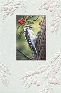 Downy Woodpecker | Birthday bird greeting cards