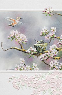 Spring Arrivals | Birthday greeting cards