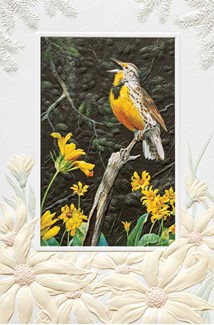 Twixt the Meadow and the Wood | Birthday greeting cards