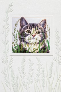 Abigail | Cat birthday cards