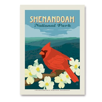 Shenandoah NP Cardinal On Dogwood | Vertical Sticker