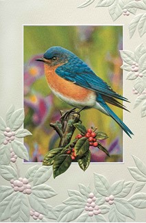 Berry Blue | Blank Greeting Cards