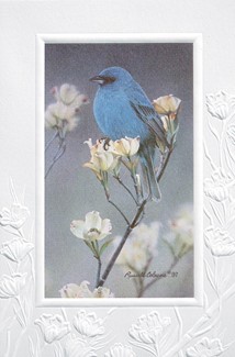 Indigo Bunting | Bunting sympathy greeting cards